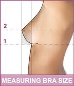 How to measure my bra size 